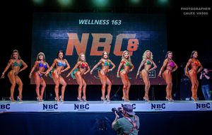 WELLNESS 163